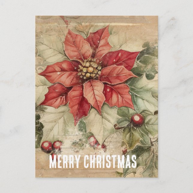 Weihnachts-Poinsettia-Blume Postkarte (Vorderseite)