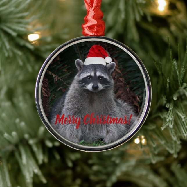 Weihnachts-Raccoon in Weihnachtsmannmütze Foto Silbernes Ornament (Baum)