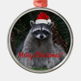 Weihnachts-Raccoon in Weihnachtsmannmütze Foto Silbernes Ornament