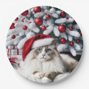 Weihnachts-Ragdoll-Katze In einer Weihnachtsmannmü Pappteller
