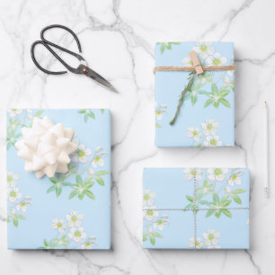 Weihnachts-Rose, Helleborus niger Geschenkpapier Set