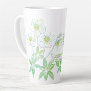 Weihnachts-Rose, Helleborus niger Milchtasse