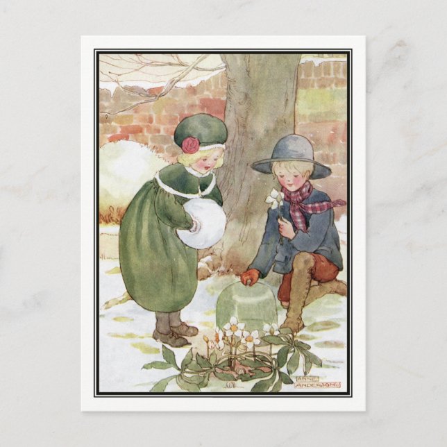 Weihnachts-Rose von Anne Anderson Feiertagspostkarte (Vorderseite)