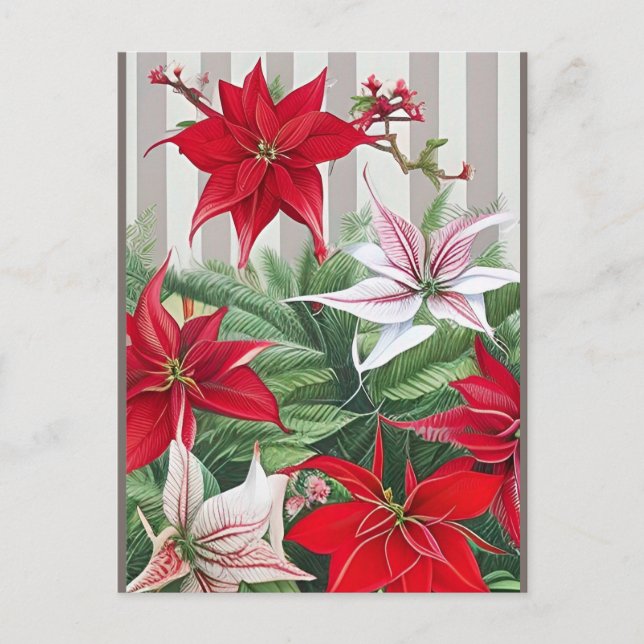 Weihnachts-Rote Amaryllis und Poinsettias Postkarte (Vorderseite)