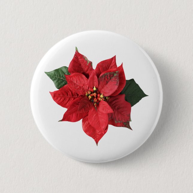 Weihnachts-Rote Poinsettie  Button (Vorderseite)