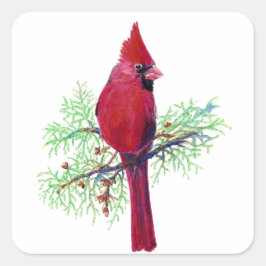 Weihnachts-Roter Vogel-Kardinal Quadratischer Aufkleber