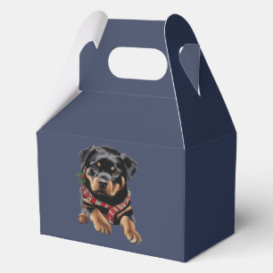 Weihnachts-Rottweiler-Hund trägt einen Schal an We Geschenkschachtel