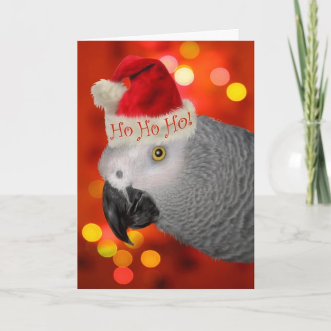 Weihnachts-Santa African Gray Parrot Feiertagskarte (Vorderseite)