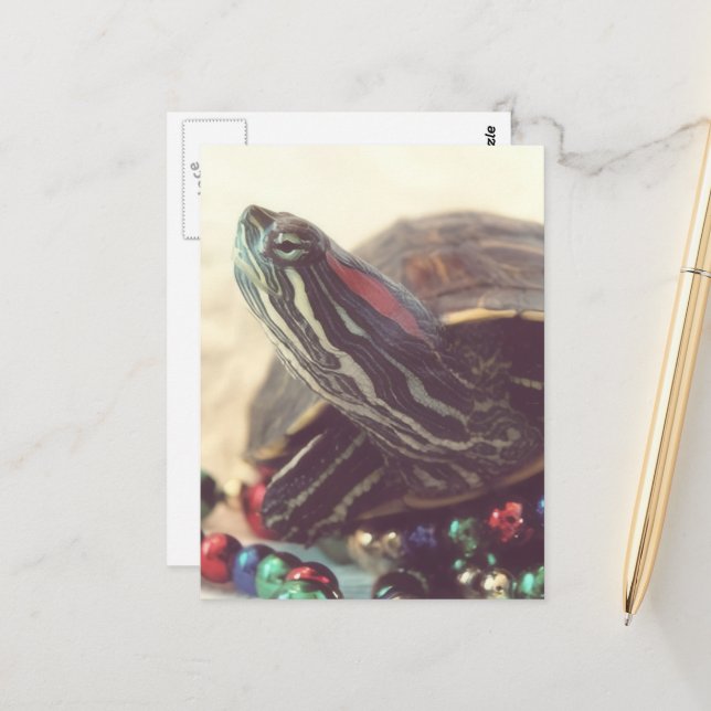 Weihnachts-Schildkröte Postkarte (Vorderseite/Rückseite Beispiel)
