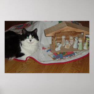 Weihnachts-Schwarz-Weiß-Katze Poster