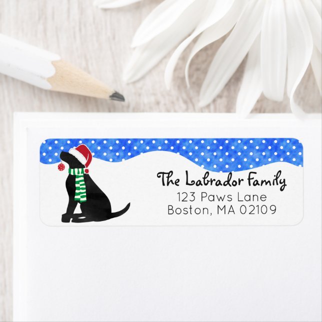 Weihnachts-Schwarzklassehund (Insitu)