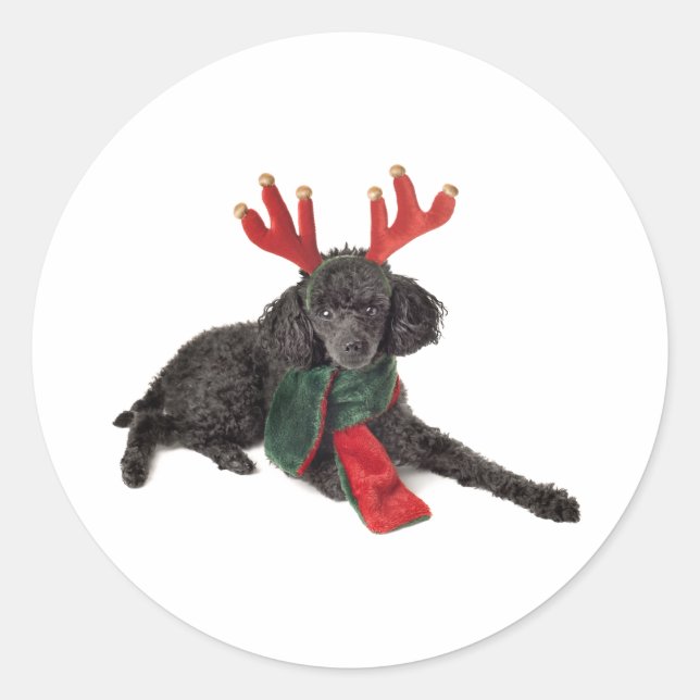 Weihnachts-Schwarzspielzeug-Poodle-Hund als Rentie Runder Aufkleber (Vorderseite)