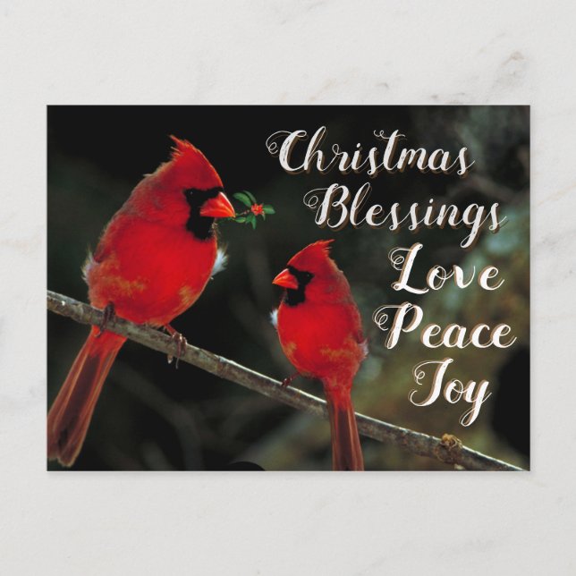Weihnachts-Segnungen, Liebe-Frieden-Freude, Kardin Postkarte (Vorderseite)