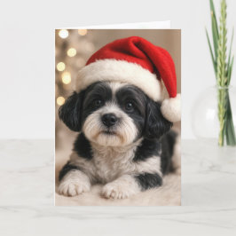 Weihnachts-Shih-Tzu-Hund mit Santa-Hut Karte