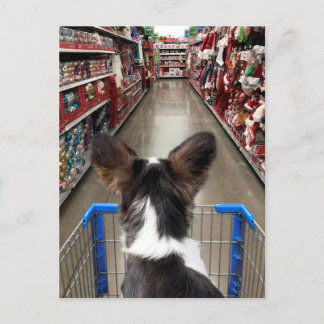 Weihnachts-Shopping Chihuahua Postkarte
