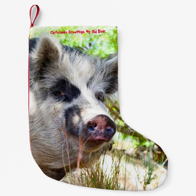 Weihnachts-Strumpf Mein alter Hund Kleiner Weihnachtsstrumpf (Vorderseite)