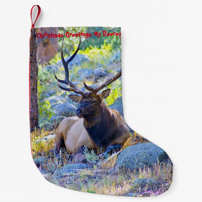 Weihnachts-Strumpf Mein alter Verdienst Kleiner Weihnachtsstrumpf (Vorderseite)