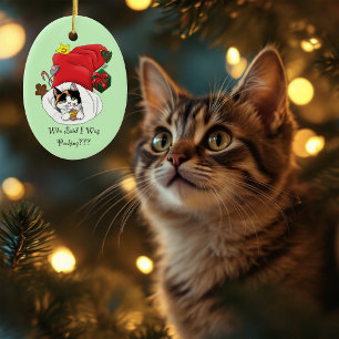 Weihnachts-Strumpf Niedlich Calico Kitten Keramik Ornament