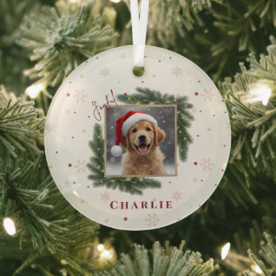 Weihnachts-Tierfoto – Personalisiertes Erinnerungs Ornament Aus Glas