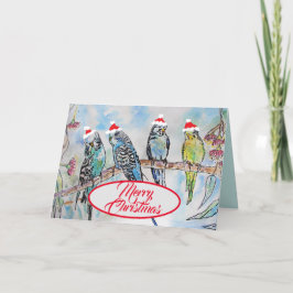 Weihnachts-Weihnachtsbudgien-Budgie-Funny-Bird-Car Karte