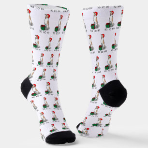 Weihnachts-Weihnachtsmannmütze Whippet Hund Fawn & Socken
