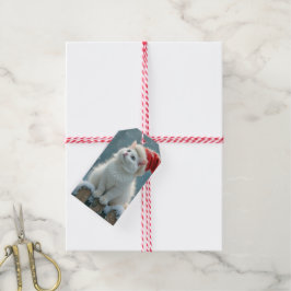 Weihnachts-Weiße Katze Tragen einer Weihnachtsmann Geschenkanhänger