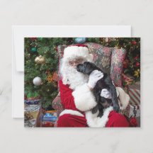 Weihnachts-Welpe Santa Claus Black Labrador