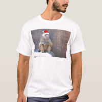 Weihnachtsaffen und Baboons