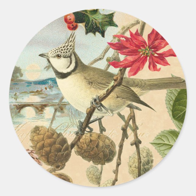 Weihnachtsaufkleber mit Vogel und roter Blume Runder Aufkleber (Vorderseite)