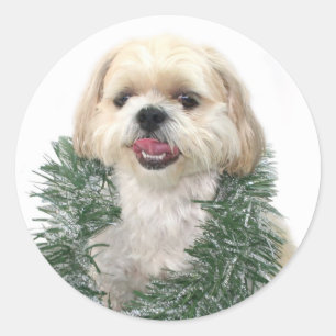 Weihnachtsaufkleber Shih Tzu Runder Aufkleber