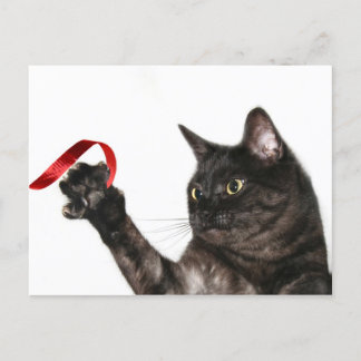 Weihnachtsband Feiertagspostkarte