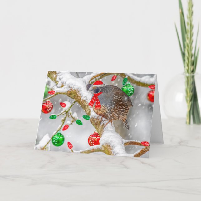 Weihnachtsbank Feiertagskarte (Vorderseite)