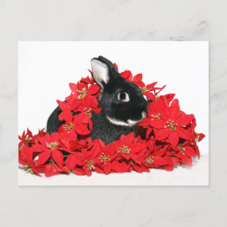 Weihnachtsbär Feiertagspostkarte
