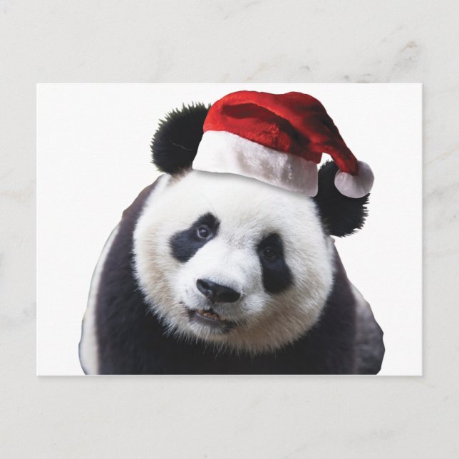 Weihnachtsbär mit Weihnachtsmannmütze Feiertagspostkarte (Vorderseite)