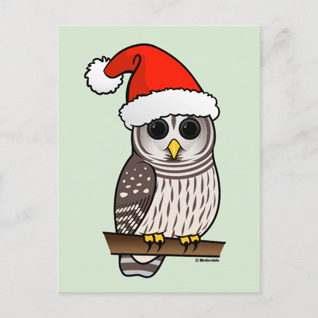 Weihnachtsbarot Owl Santa Feiertagspostkarte (Vorderseite)