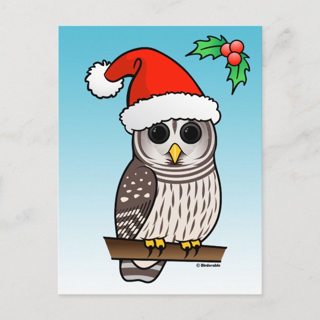 Weihnachtsbarot Owl Santa Feiertagspostkarte (Vorderseite)