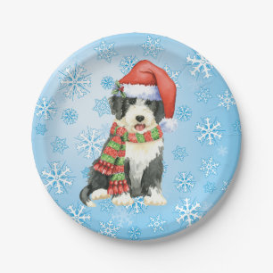 Weihnachtsbärtenpapierplatte Pappteller