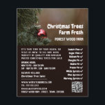 Weihnachtsbaum Bauble, Verkauf von Weihnachtsbaume Flyer<br><div class="desc">Christmas Tree Bauble,  Christmas Tree Sales Advertising Flyer vom Business Card Store.</div>