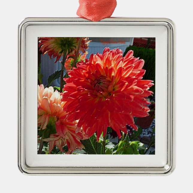Weihnachtsbaum-Flora-Verzierung Silbernes Ornament (Vorne)