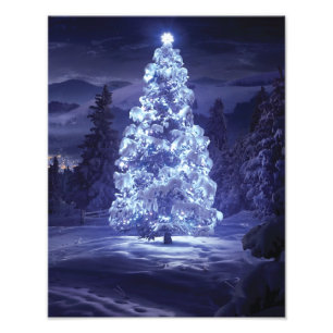 Weihnachtsbaum Fotodruck