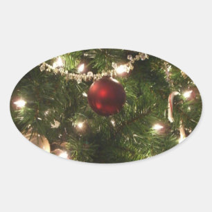 Weihnachtsbaum I Urlaub Hübsch grün und rot Ovaler Aufkleber