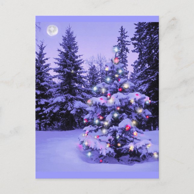 Weihnachtsbaum im Wald Feiertagspostkarte (Vorderseite)