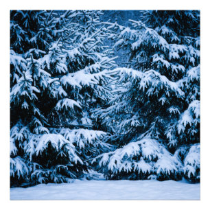 Weihnachtsbaum im Winterwald Fotodruck