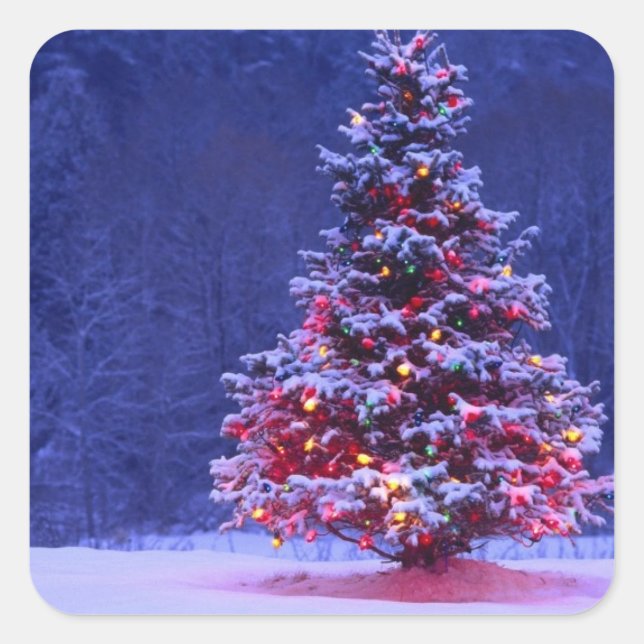 Weihnachtsbaum Quadratischer Aufkleber (Vorderseite)