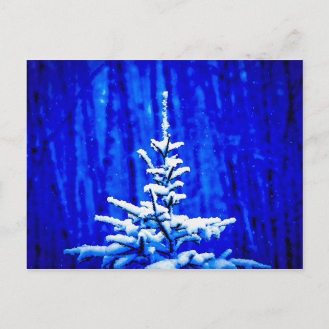 Weihnachtsbaum, Schnee, Zaubernacht Postkarte (Vorderseite)