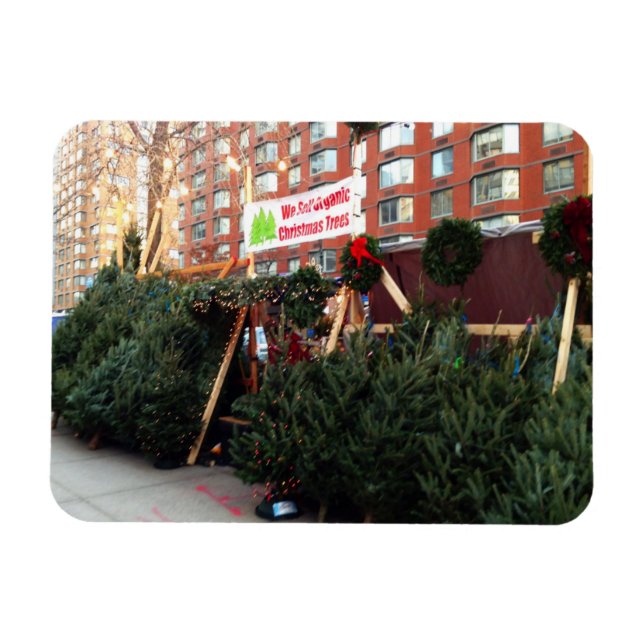 Weihnachtsbaum Stand Upper West Side New York City Magnet (Horizontal)
