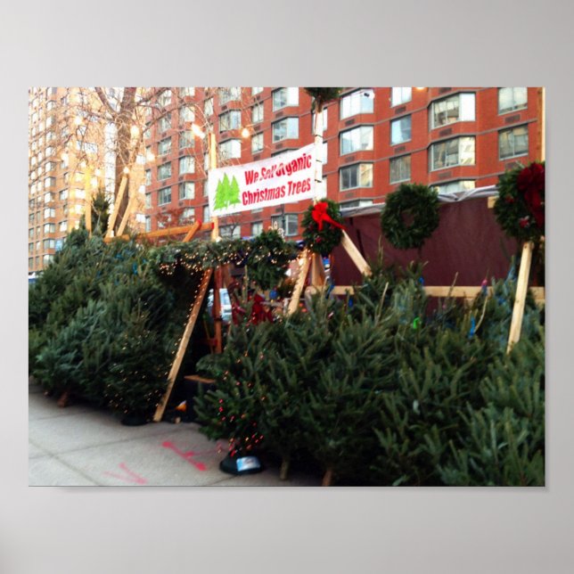 Weihnachtsbaum Stand Upper West Side New York City Poster (Vorne)