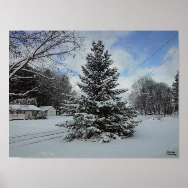 Weihnachtsbaum uncut poster (Vorne)