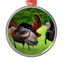 Weihnachtsbaum-Verzierung Toms die Türkei
