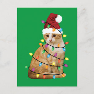 Weihnachtsbaum Weihnachtsfest Weihnachten Weihnach Postkarte